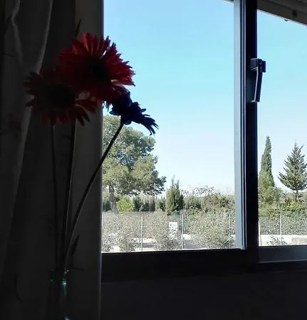 게스트하우스 San Benito 레브리자