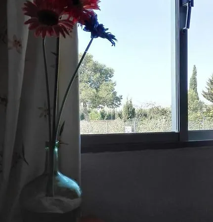 San Benito 레브리자