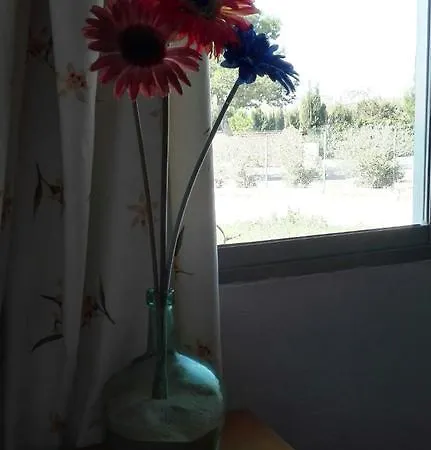 San Benito Guest house
